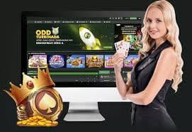 Mobile Evolution Live Casino reading experience with apk 222 privacy notes