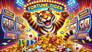 Structured apk 222 live casino guide with responsible gaming focus
